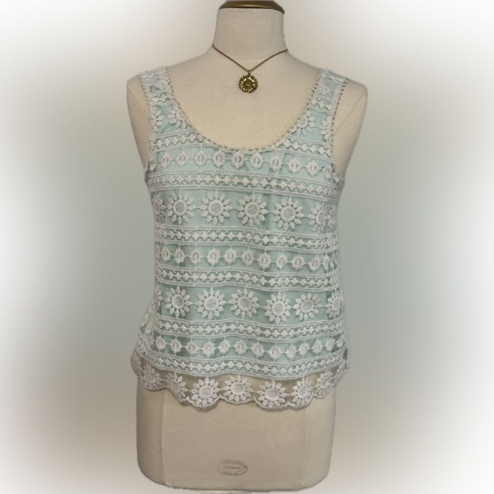 Adorable front-layer Charlotte Russe crop top!